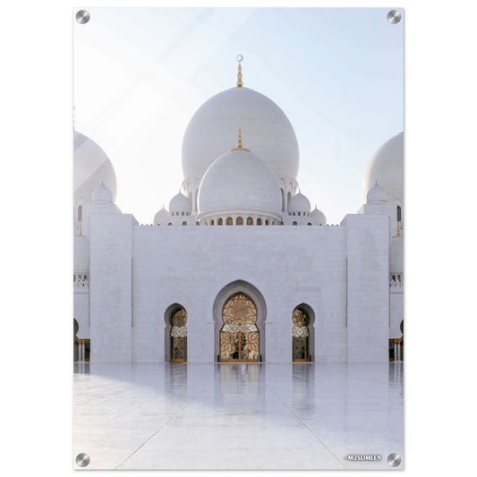 25efc31e-fe8a-4caa-918f-14a0555f1d09