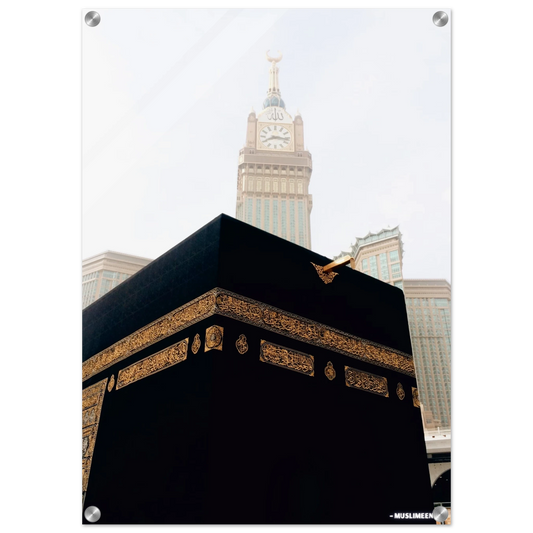 4cf0b053-2267-4e41-bcad-ec3eee6d2970