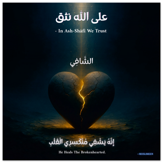 51116d50-5f63-428a-8cd3-c3295d80583a