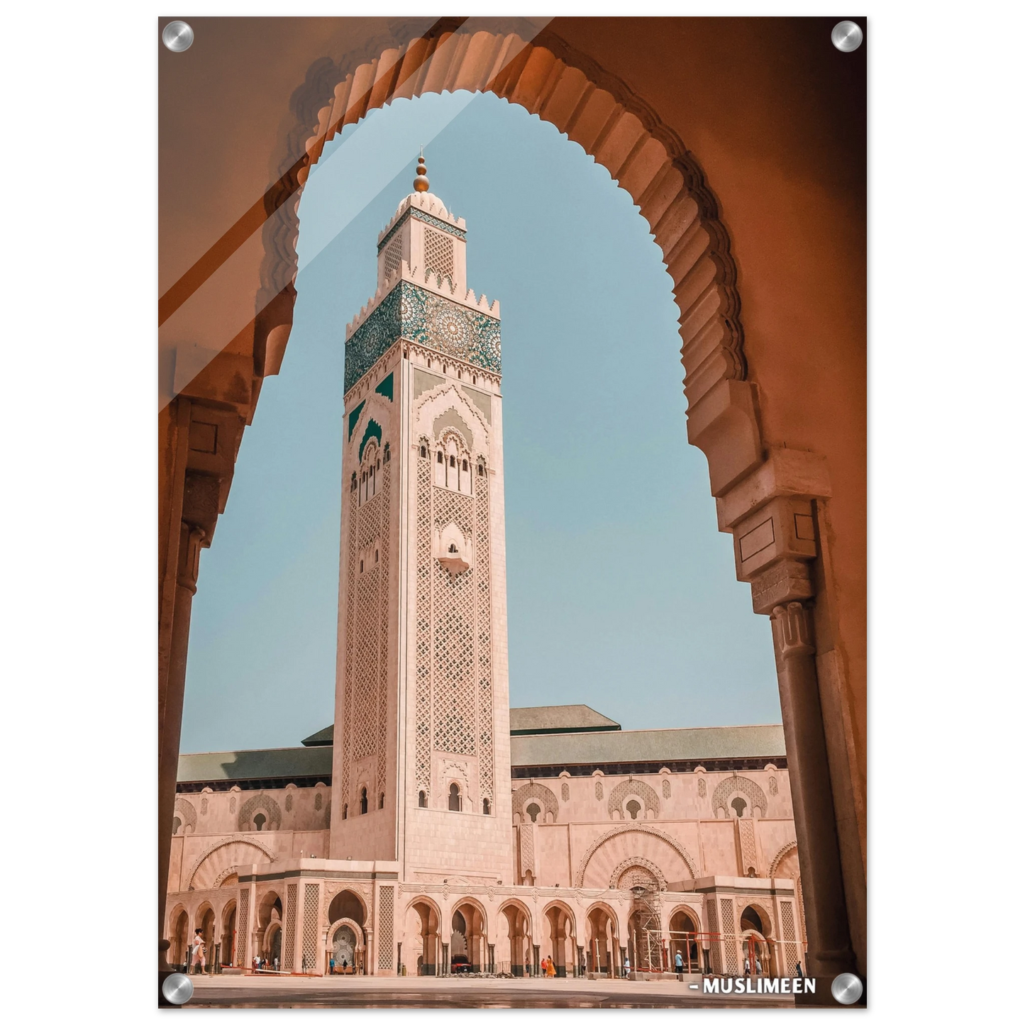 72e8d9b3-6017-46f0-bd17-5aabdef67957