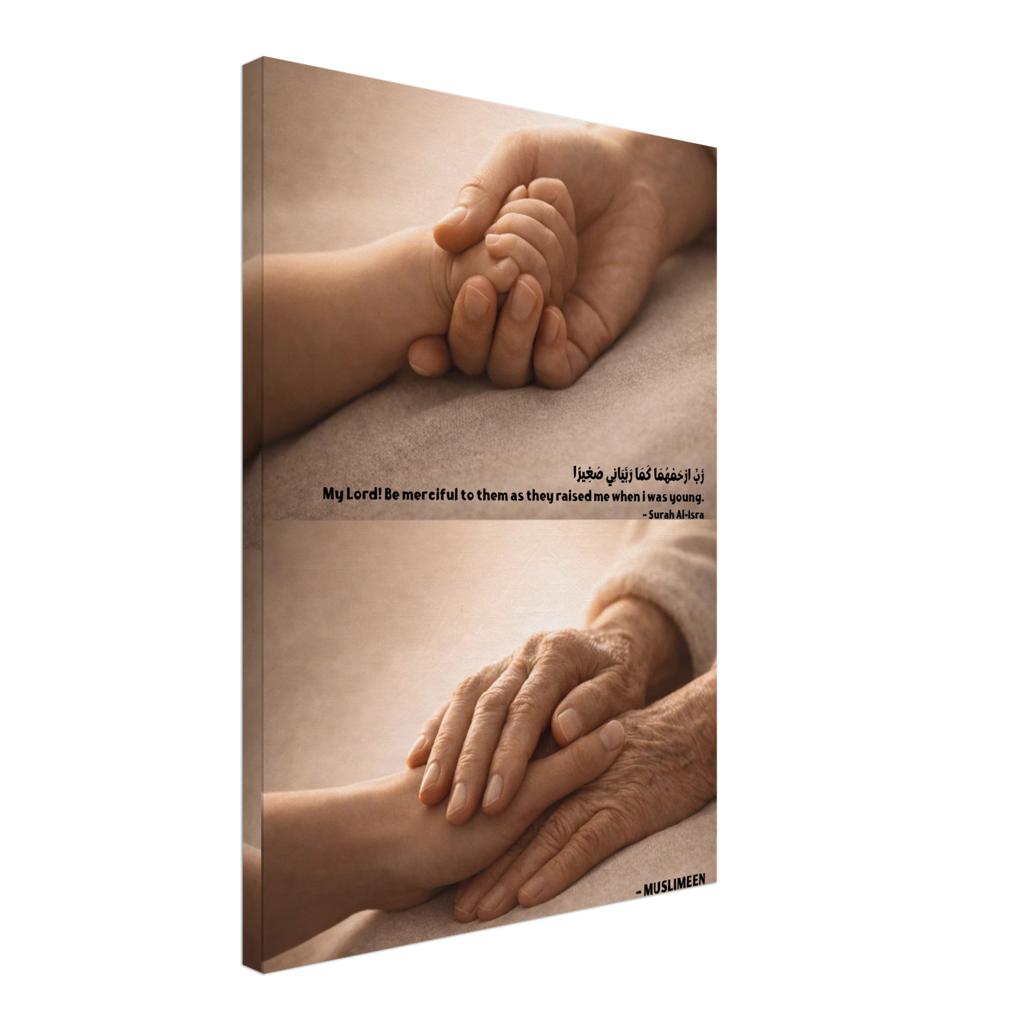 c369d4d9-384c-4d9e-9887-2987793c9cf6