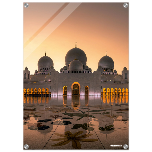 f1d46b72-d3d1-4d98-b175-73c2f0117dbc